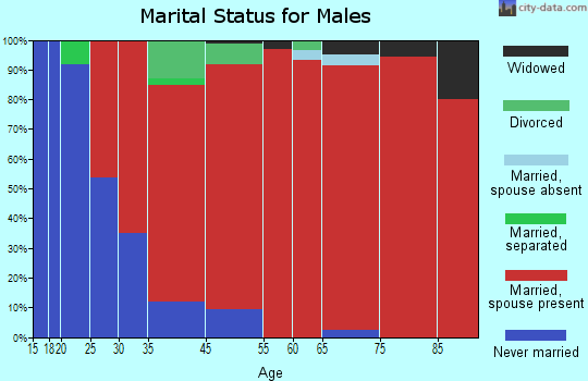 Maple Plain marital status for males