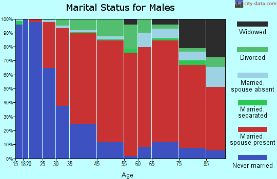 Maple Valley marital status for males