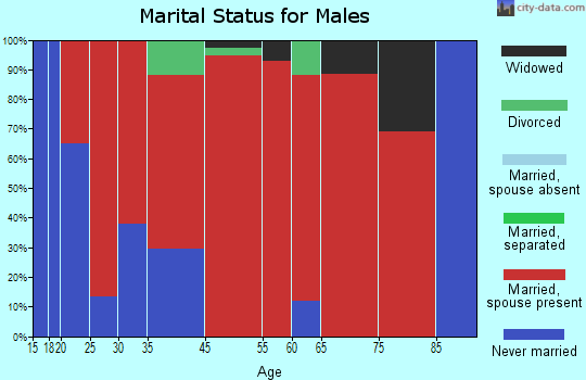 Meenon marital status for males