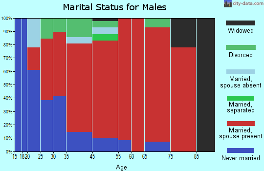Metomen marital status for males