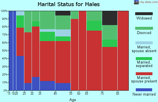 Brandywine marital status for males