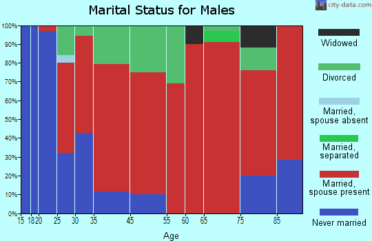 New Diggings marital status for males