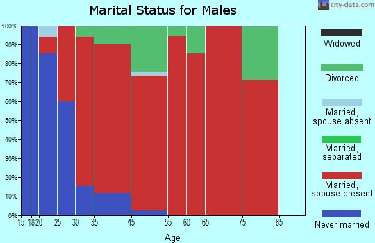 New Hope marital status for males