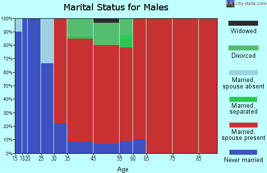 Nokomis marital status for males