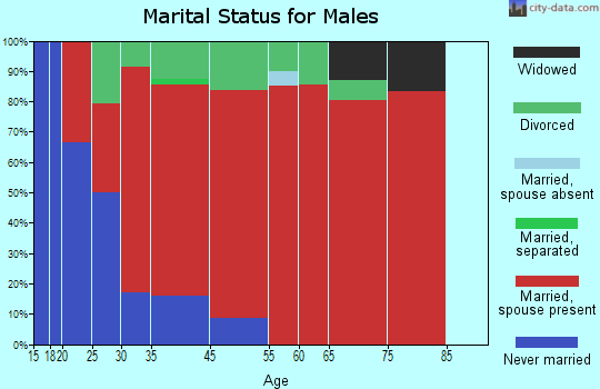 Ojibwa marital status for males