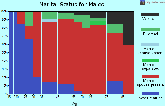 Pilsen marital status for males