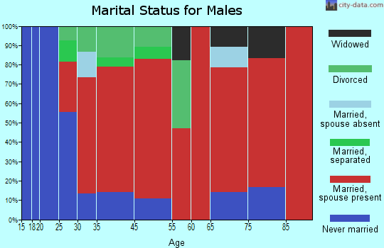 Pine Lake marital status for males