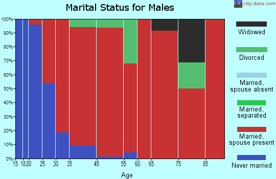 Pleasant Valley marital status for males