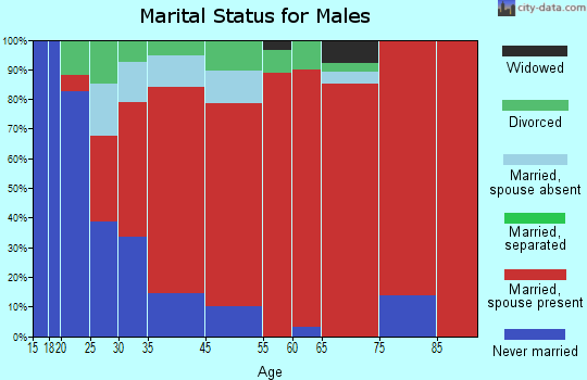 Plum Lake marital status for males