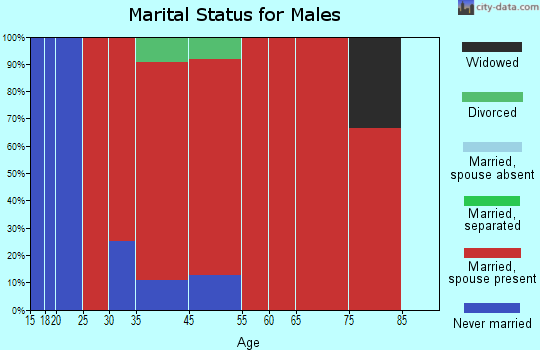 Rock Elm marital status for males