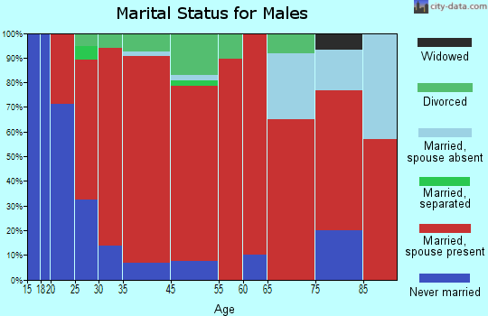 Salem marital status for males