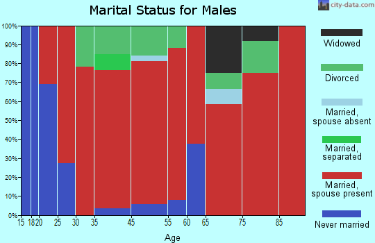 Sand Creek marital status for males