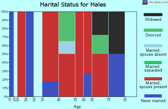 Saxon marital status for males