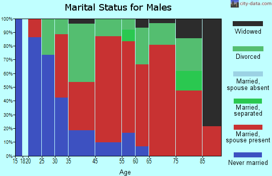 Schleswig marital status for males