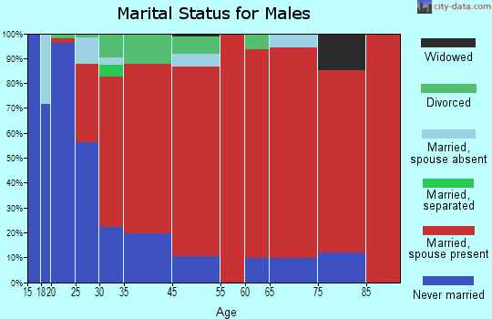 Smelser marital status for males