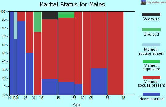 Springdale marital status for males