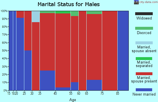 Springfield marital status for males