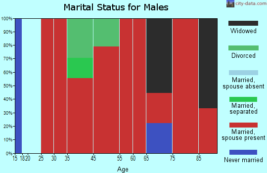 Spring Prairie marital status for males