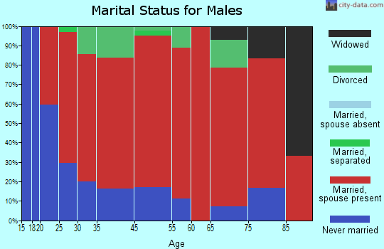 Springvale marital status for males