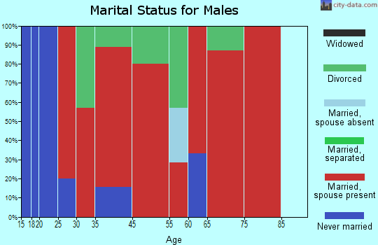 Springwater marital status for males
