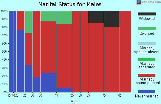 Stettin marital status for males