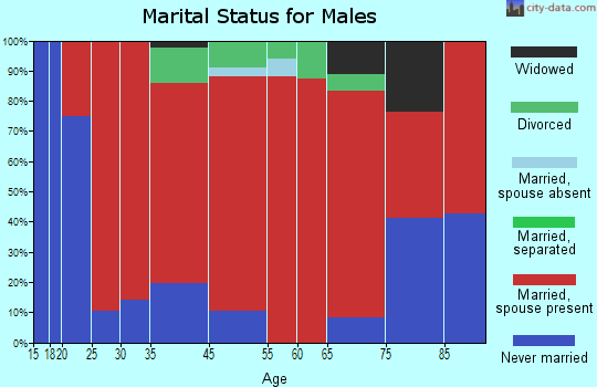 Summit marital status for males