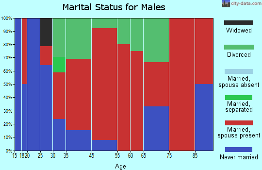 Sylvester marital status for males