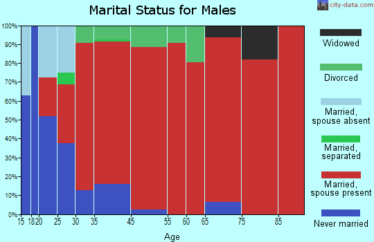 Wellington marital status for males