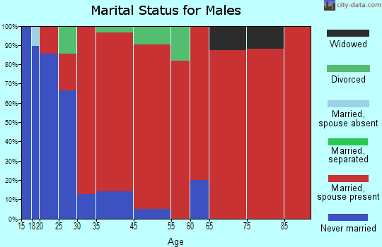 Wood River marital status for males