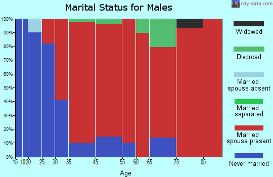 Worcester marital status for males