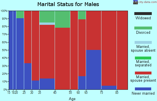 Worden marital status for males