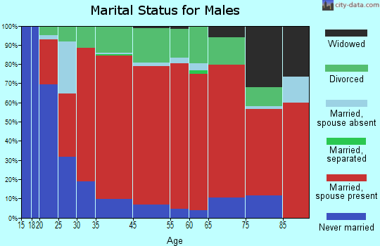Bridger Valley marital status for males