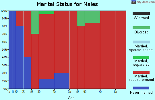 Rawhide Creek marital status for males