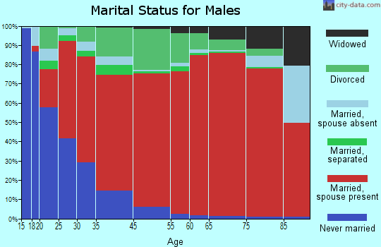 Boca Ciega marital status for males
