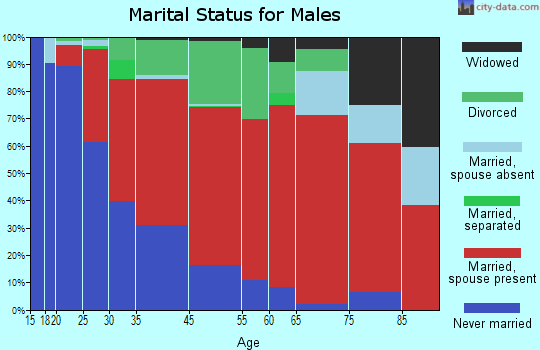 Estero Island marital status for males