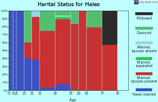 McAlpin-Wellborn marital status for males