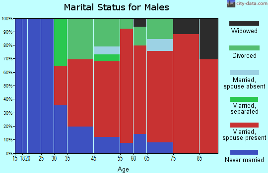 Palm River-East Tampa marital status for males
