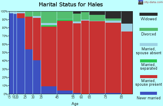 Royal Palm Beach-West Jupiter marital status for males