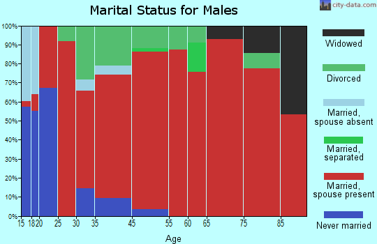 Big Sandy-Duncanville marital status for males