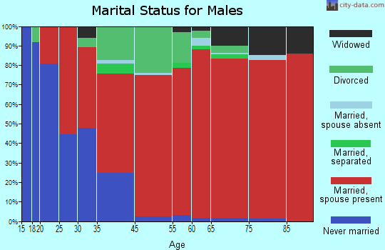 South Peninsula marital status for males