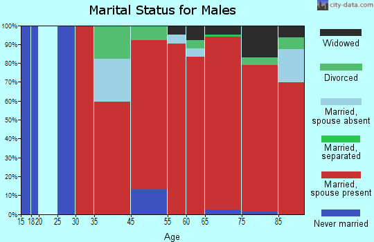 Southwest Leon marital status for males