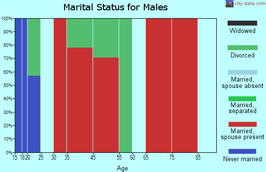 Islamorada, Village of Islands marital status for males