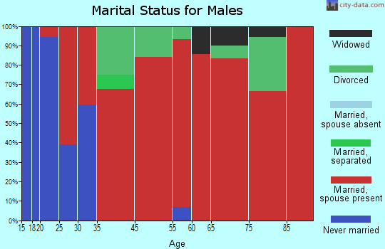 Wimauma-Lithia marital status for males