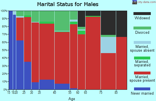 Branchville marital status for males