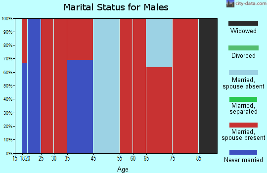 Bridgeboro marital status for males