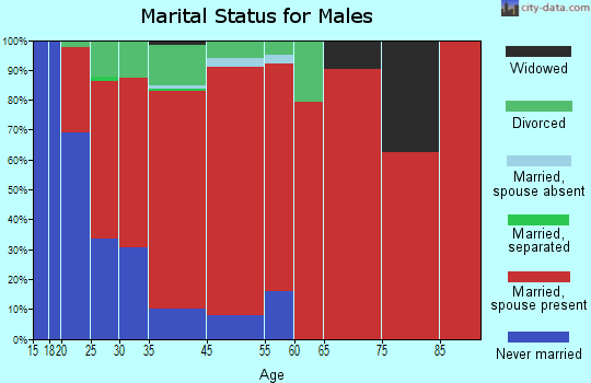 Bristol marital status for males