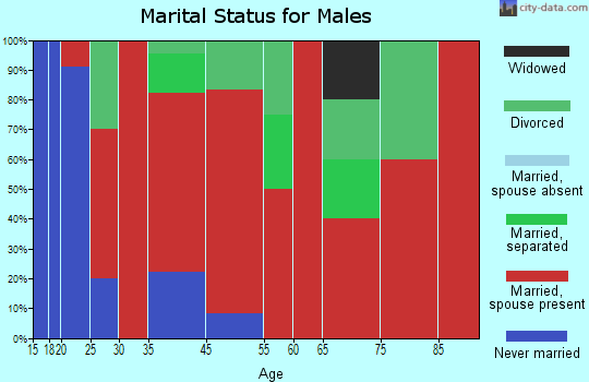 Broad River marital status for males