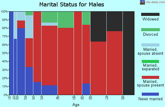 Brookfield marital status for males