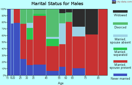 Carsonville-Panhandle marital status for males