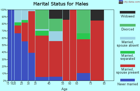 Chestatee marital status for males